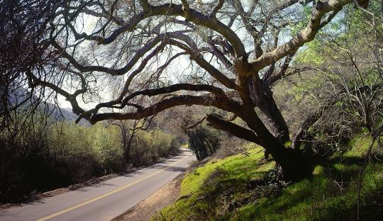 Plumber - Fallbrook, CA